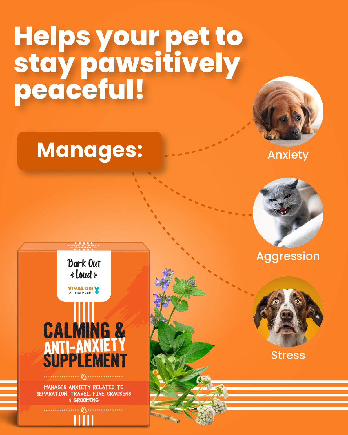 Calming & Anti-Anxiety Supplements for Cats & Dogs (5 sachets)