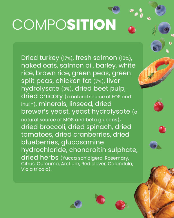 Salmon & Turkey - Adult Dog Dry Food for Medium & Large Breed