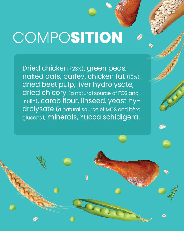Chicken & Ancient Grains Dog food Medium/ Large Breed and Mini/ Small Breed