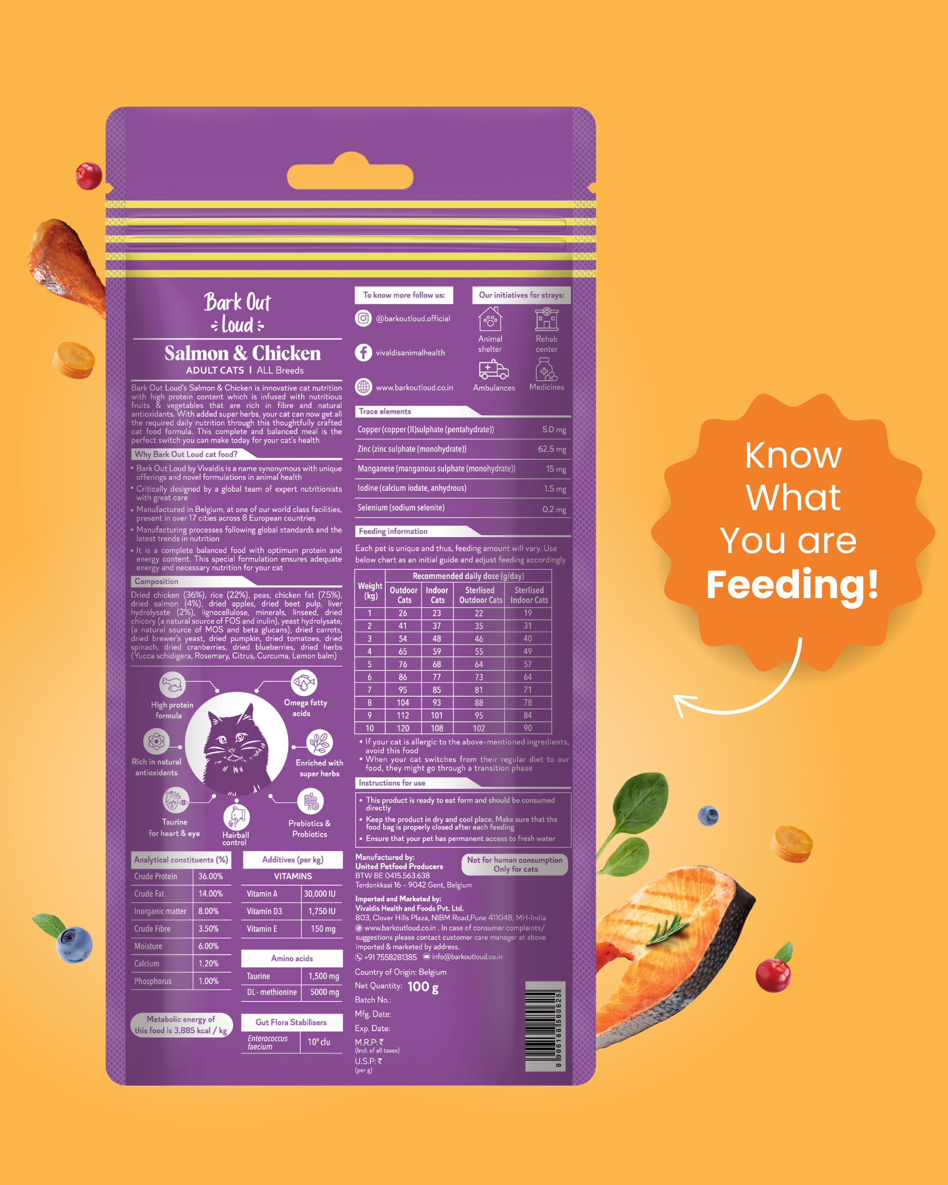 Salmon & Chicken - Adult Cat Dry Food (100 gm)