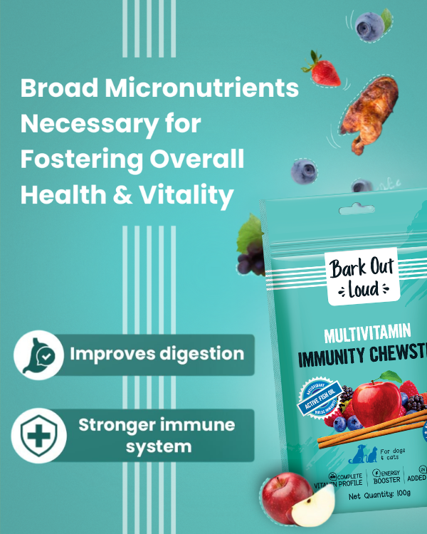 Multivitamin Immunity Chewstix for Dogs & Cats (100 gm)