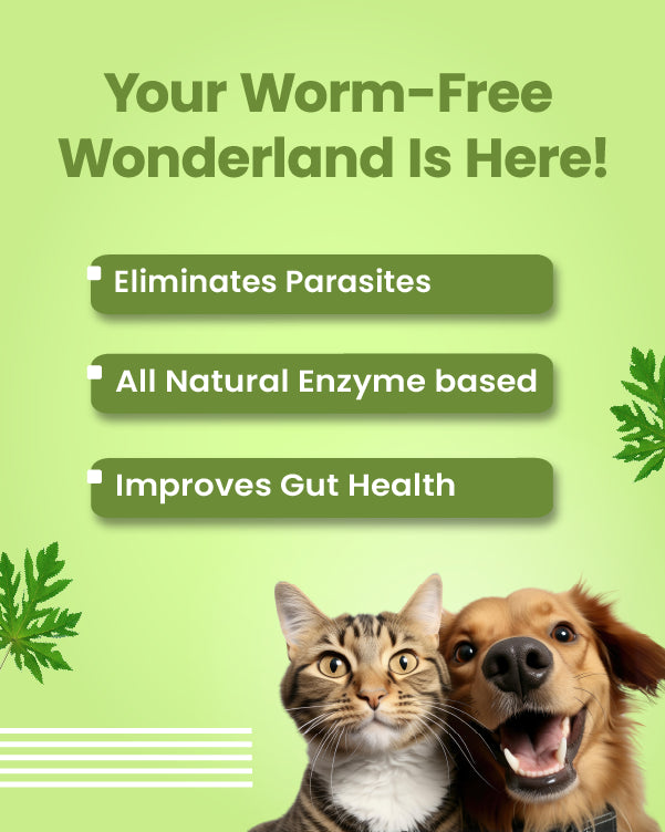En-dewor - Natural dewormer for Dogs & Cats (10 Tablets)