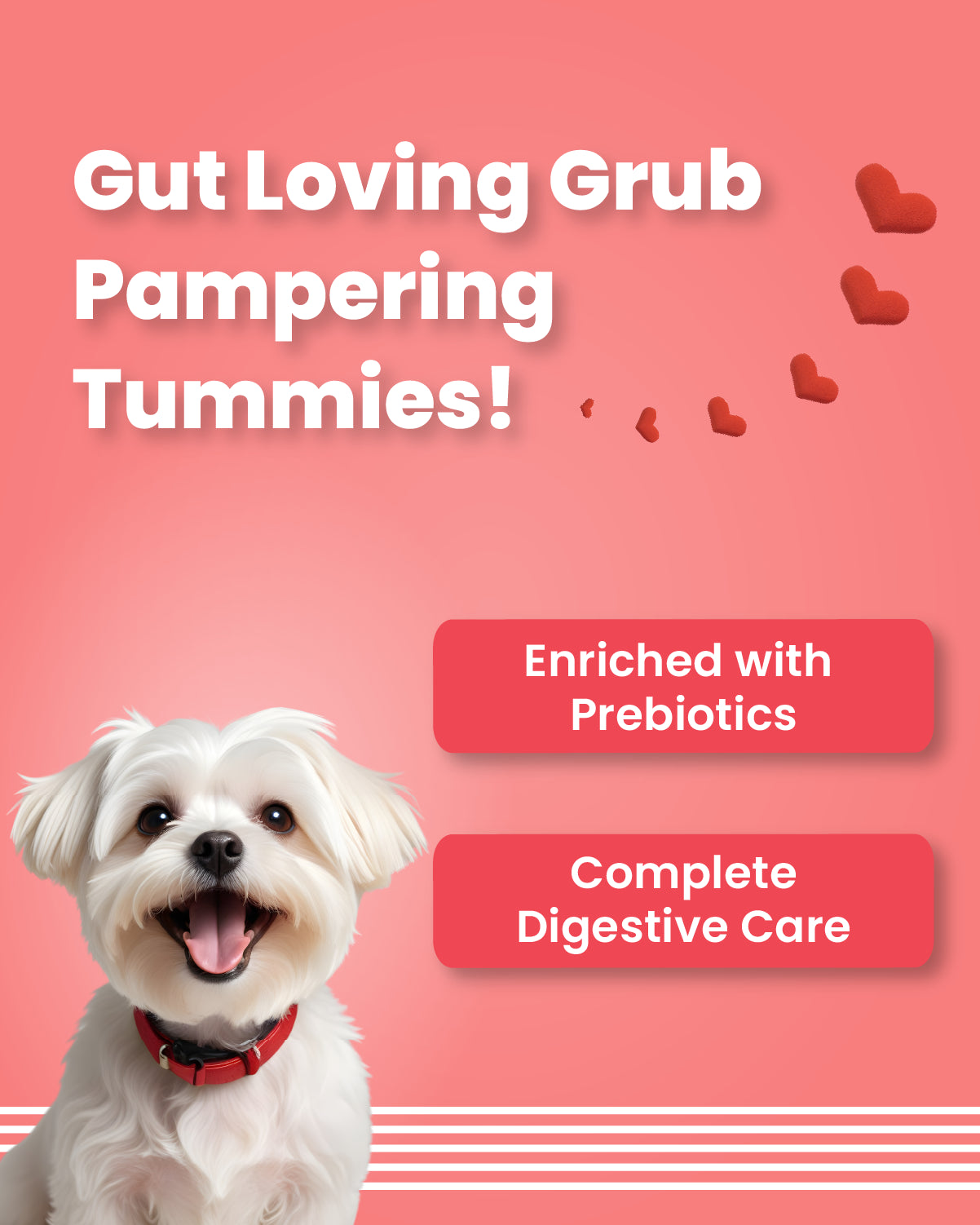 Red Hearts - Soft Chews Treats for Dogs (100 gm)