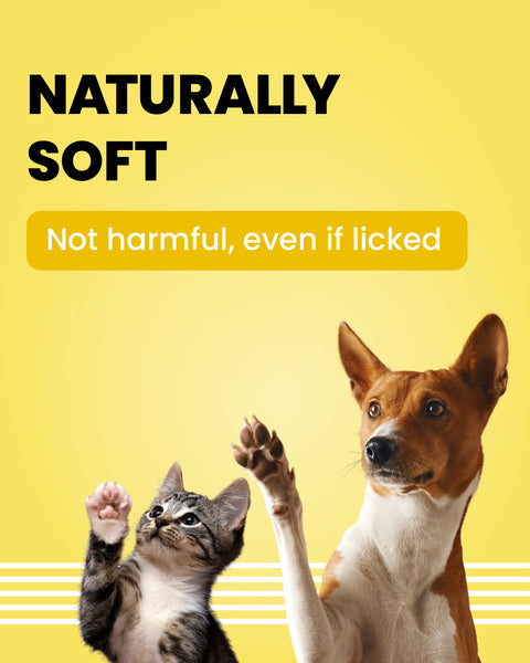 Bark Out Loud Premium Pet Care Nutrition