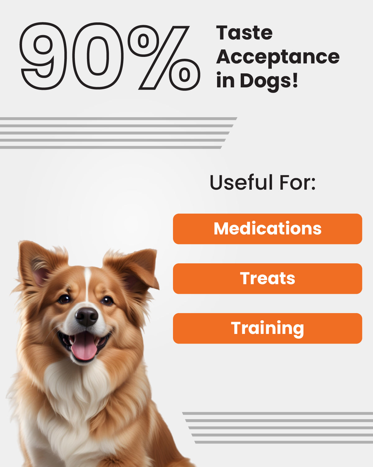 Easy Pill Dog (20 gm X 3 bars)