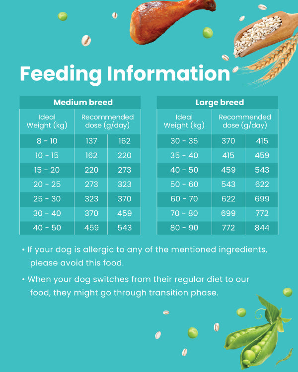 Chicken & Ancient Grains Dog food Medium/ Large Breed and Mini/ Small Breed