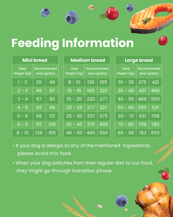 Salmon & Turkey - Adult Dog Dry Food for Medium & Large Breed