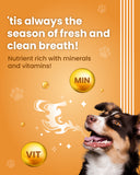Dental Sticks - Oral Hygiene Treats for Dogs (100 gm)