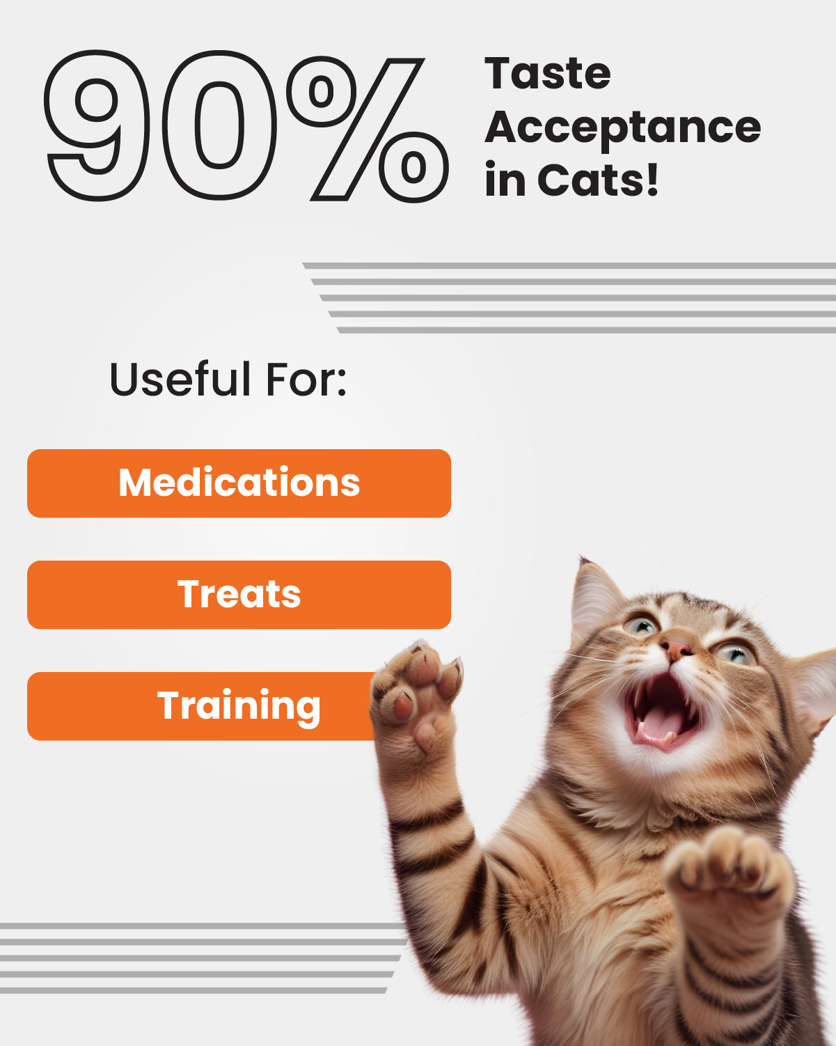 Easy Pill Cat (10 gm X 3 bars)