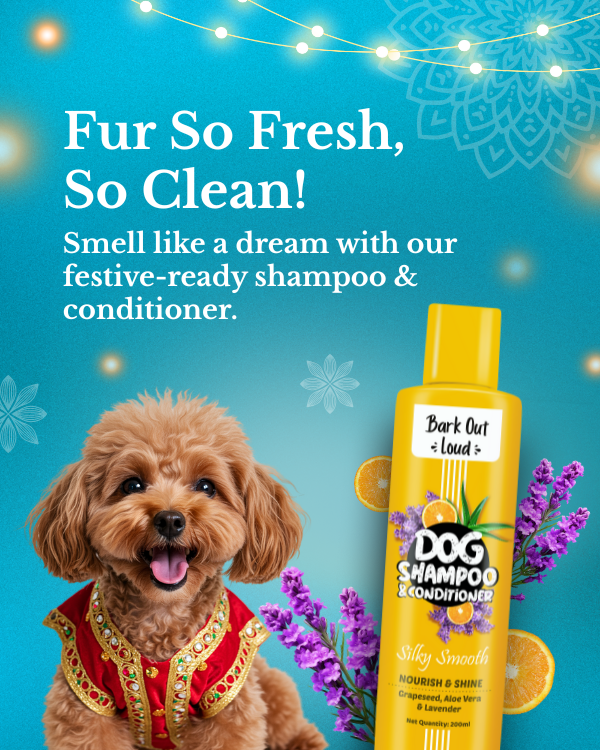 Festive Gift Box for Dogs