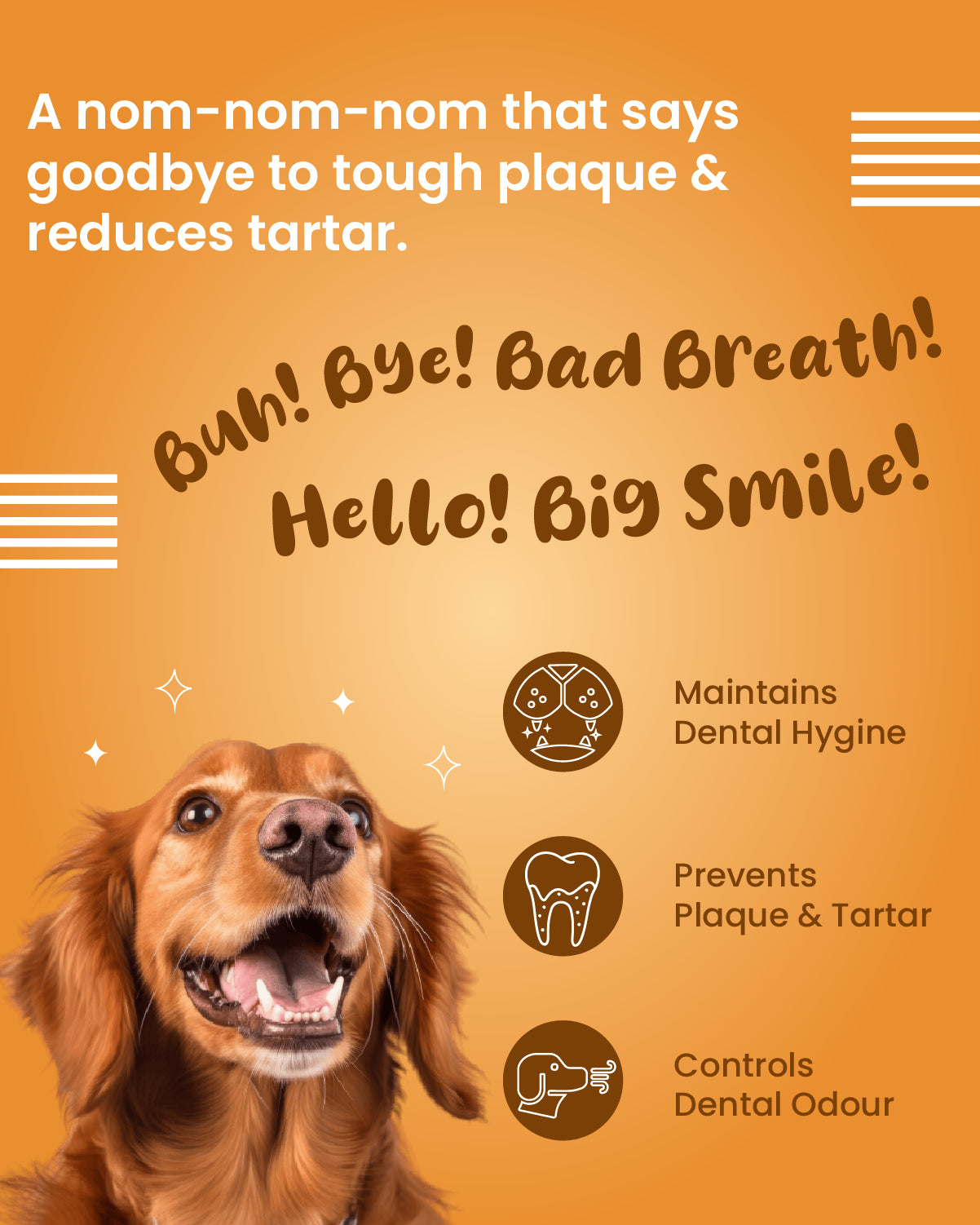 Dental Sticks - Oral Hygiene Treats for Dogs (100 gm)