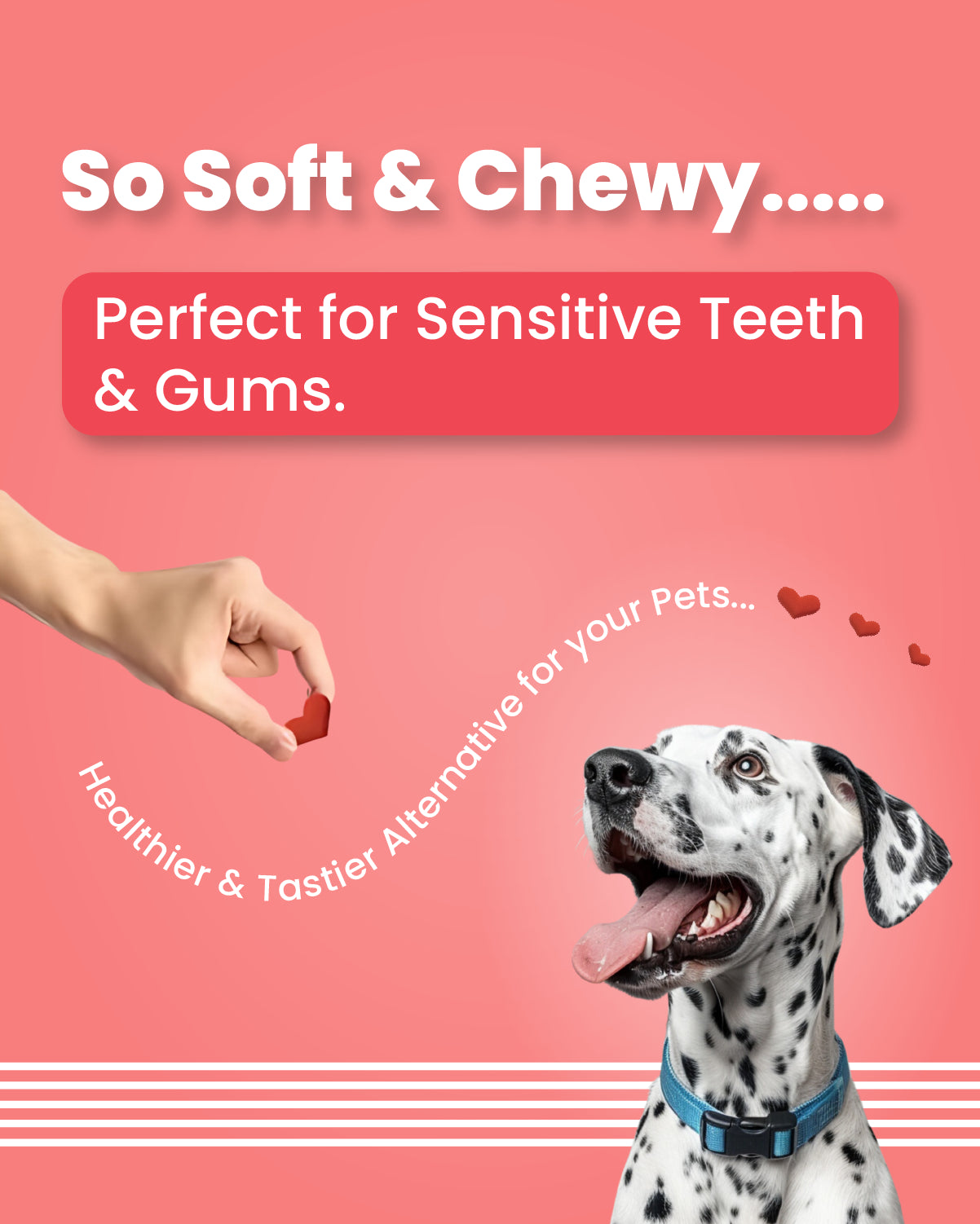 Red Hearts - Soft Chews Treats for Dogs (100 gm)