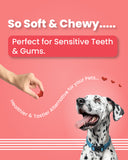 Red Hearts - Soft Chews Treats for Dogs (100 gm)
