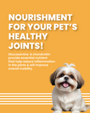 Salmon & Turkey - Adult Dog Dry Food for Medium & Large Breed