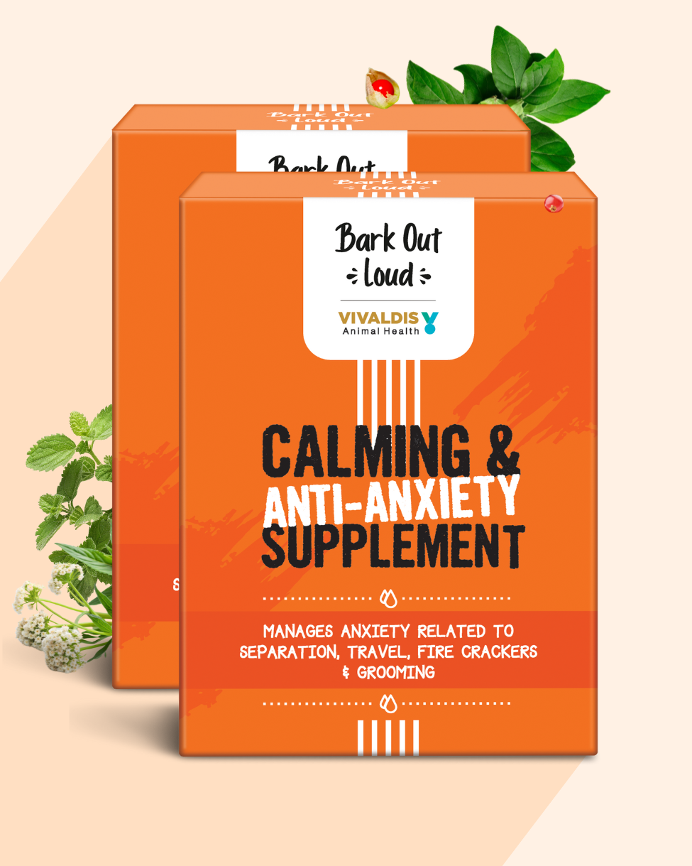 Calming & Anti-Anxiety Supplements for Cats & Dogs (5 sachets)
