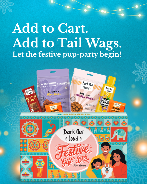 Festive Gift Box for Dogs