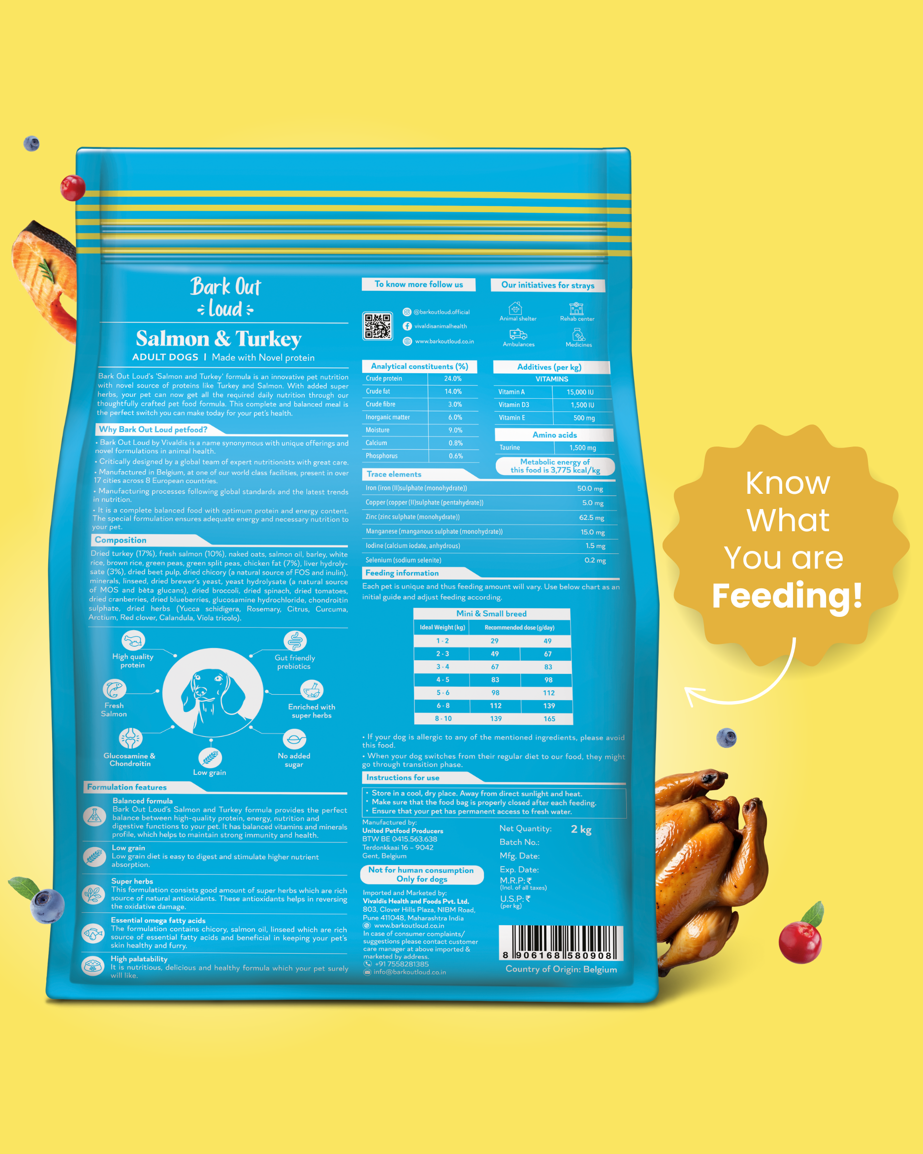 Salmon & Turkey - Adult Dog Dry Food for Medium & Large Breed