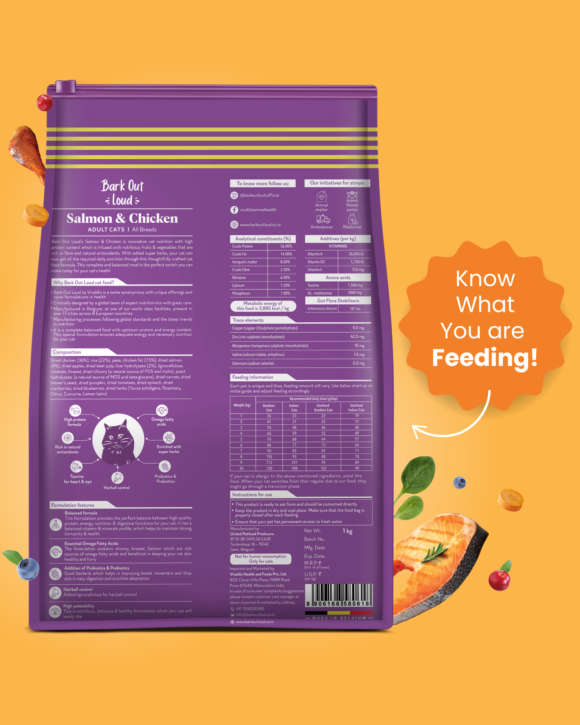 Salmon and Chicken Adult Dry Cat Food All Breeds (1 N x 1 Kg)