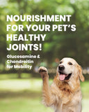 Salmon & Turkey - Adult Dog Dry Food for Medium & Large Breed