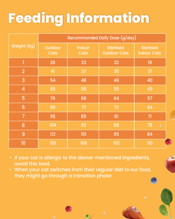 Salmon & Chicken - Adult Cat Dry Food (100 gm)