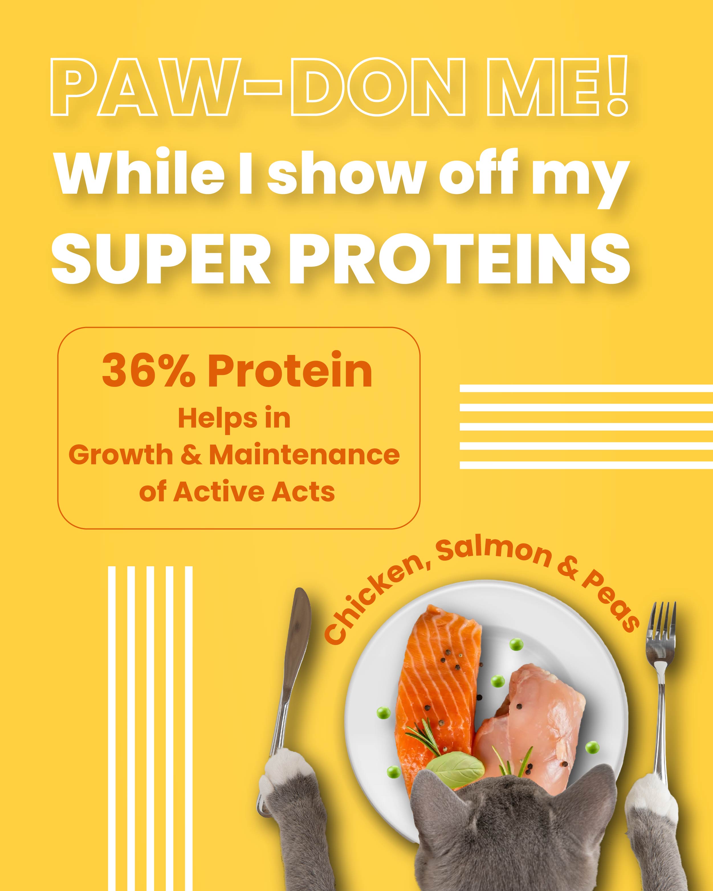 Salmon & Chicken - Adult Cat Dry Food (100 gm)