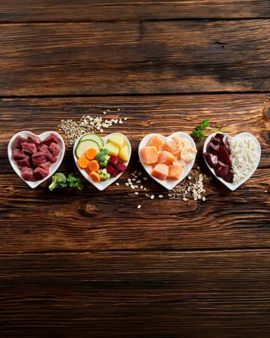 What Makes Dog Food Truly Healthy? A Vet-Backed Ingredient Guide