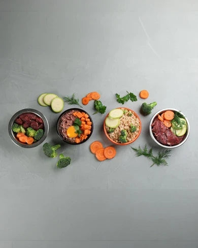 How Healthy Dog Food Supports Your Dog’s Overall Well-Being