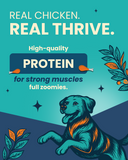 Thrive Real Chicken - Adult Dog Dry Food - All Breeds