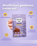 Coatiez - Soft Chews Treats for Dogs (100 gm)