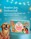 Festive Gift Box for Dogs