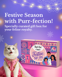 Festive Gift Box for Cats