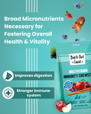 Multivitamin Immunity Chewstix for Dogs & Cats (100 gm)