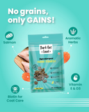Mini Fishes - Hypoallergenic Treats for Dogs (100 gm)