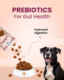 Chicken Rings - Soft Chews Treats for Dogs (100 gm)