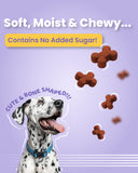 Coatiez - Soft Chews Treats for Dogs (100 gm)