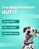 Mini Fishes - Grain free, Hypoallergenic Treat for Dogs