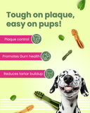 Dental Chews for Dogs - Gluten Free Treats (100 gm)