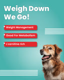 Dog Pillows - Weight Control