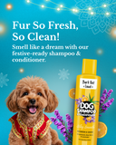 Festive Gift Box for Dogs