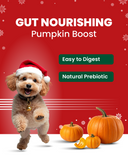 Christmas Edition: Protein Bar for Dogs (35 g)