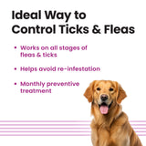 Spot On for Dogs 20-40kg - VI-FI Forte 2.68ml Single Pipette – Solution for The Prevention and Treatment of Flea, Tick, and Chewing Lice Infestations (Pack of 1)