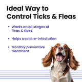 VI-FI Forte 1.34 ml - Single Pipette - Spot on Solution for Prevention & Effective Control of Flea, Tick & Chewing Lice Treatment for Dogs Weighing from 10 to 20 kg (Pack of 1)