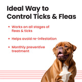 VI-FI Forte 4.02 ml - Single Pipette - Spot on Solution for Prevention & Effective Control of Flea, Tick & Chewing Lice Treatment for Dogs Weighing from 40 to 60 kg