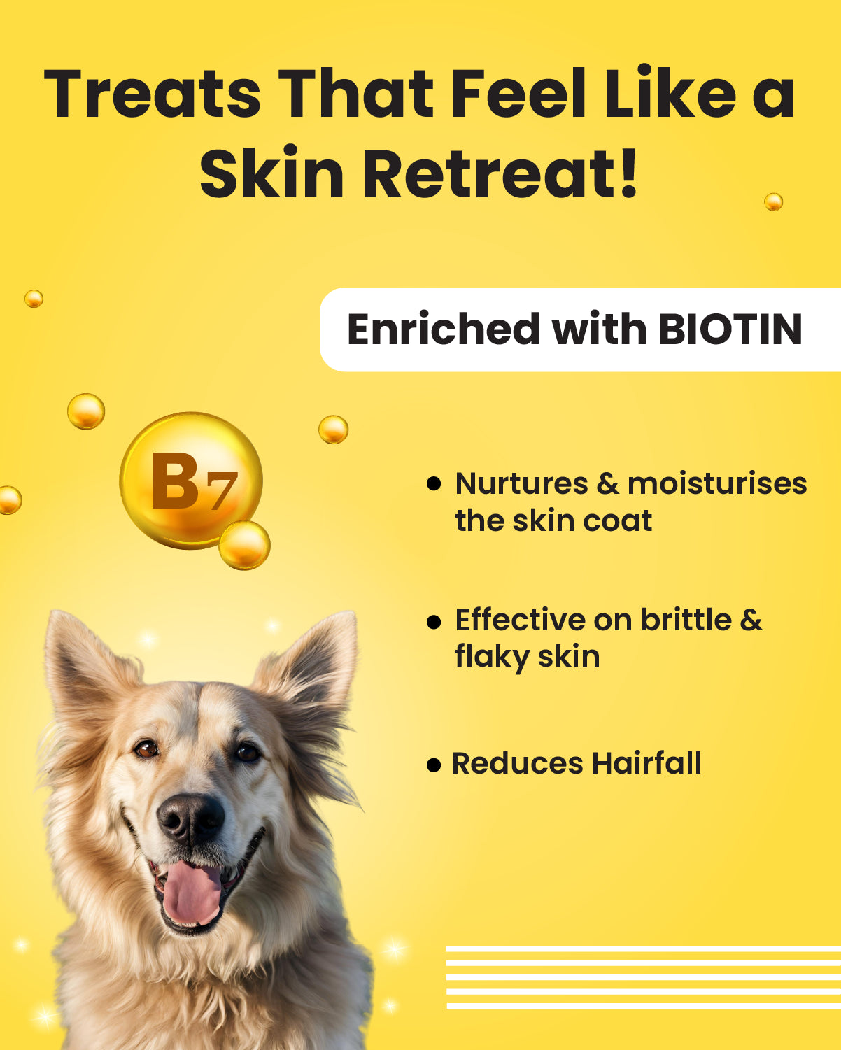 Skin Coat Sardine Oil Supercharged Formula Bark Out Loud by Vivaldis