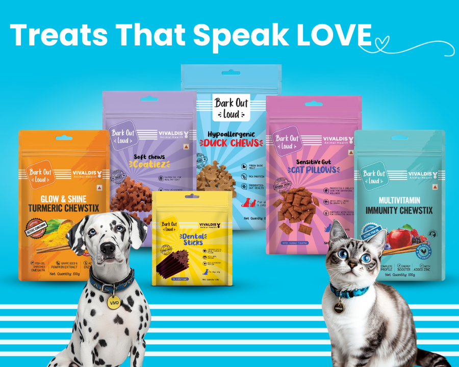 Bark Out Loud by Vivaldis 