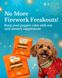 Festive Gift Box for Dogs