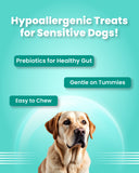 Mini Fishes - Hypoallergenic Treats for Dogs (100 gm)