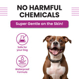 Spot On for Dogs 20-40kg - VI-FI Forte 2.68ml Single Pipette – Solution for The Prevention and Treatment of Flea, Tick, and Chewing Lice Infestations (Pack of 1)