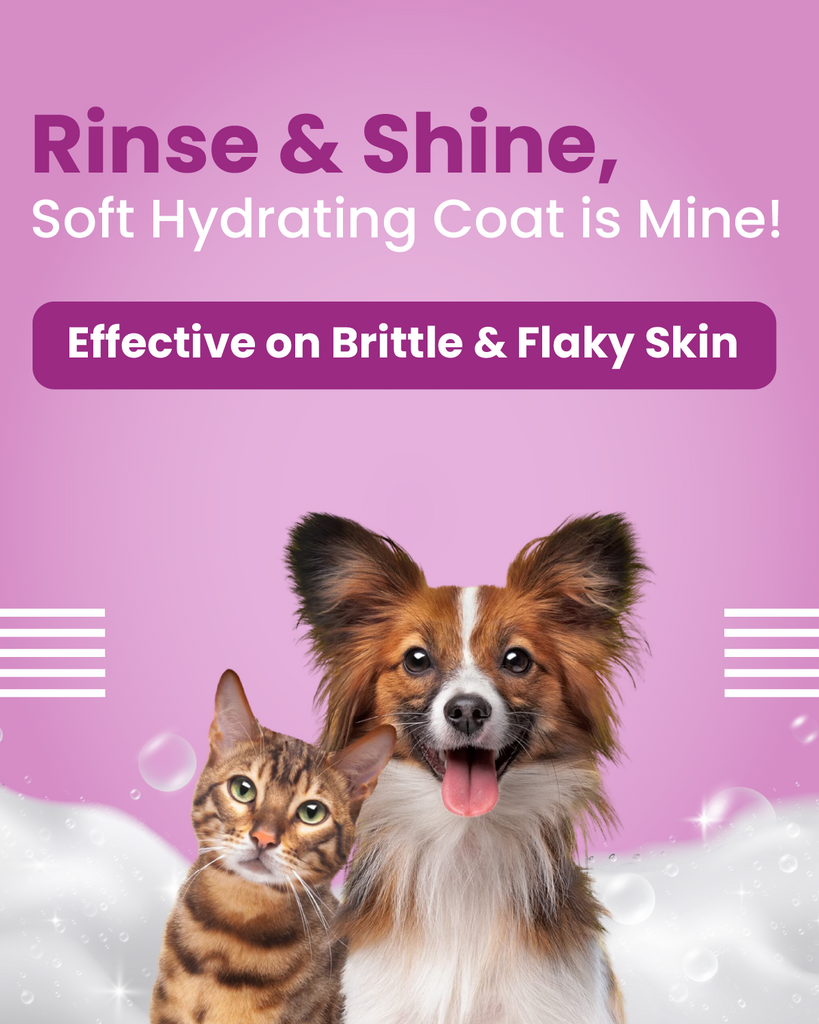 Picture of Hypoallergenic Dog Shampoo & Best Allergy Itch Relief Shampoo for Cats ...