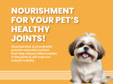 Salmon & Turkey - Adult Dog Dry Food for Mini & Small Breed (4.8 kg)